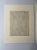 Ivory Daniel Rabel Botanical Engravings From Theatrum Florae Printed 1622 Paris, a Pair For Sale - Image 8 of 8