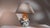 1970s Germany Blue Ceramic Table Lamp For Sale In Greensboro - Image 6 of 15