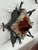 Metal Vintage Wall Lamp with Iron Base and Glass Lampshade in the style of Mazzega, 1970s For Sale - Image 7 of 12