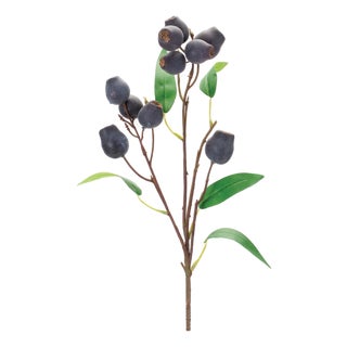Plum Pod Spray (Set of 6) For Sale