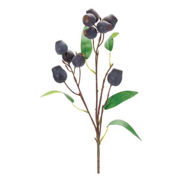 Plum Pod Spray (Set of 6) For Sale