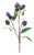Plum Pod Spray (Set of 6) For Sale
