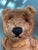 1940s Steiff Bear, Made in Germany For Sale In New York - Image 6 of 12