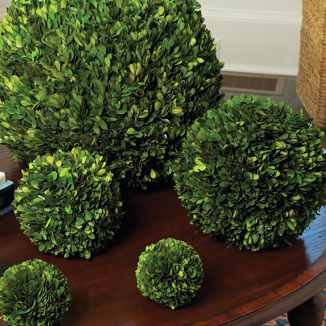 Kenneth Ludwig Chicago Boxwood Ball 12" For Sale - Image 4 of 5