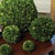 Kenneth Ludwig Chicago Boxwood Ball 12" For Sale - Image 4 of 5