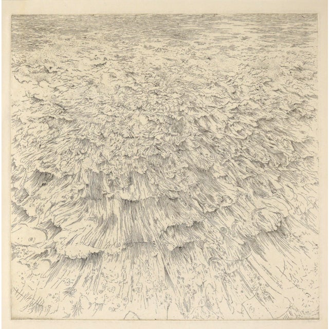 American Headland IV - Etching by Gordon Cook on Japanese Paper by Gordon Cook For Sale - Image 3 of 5