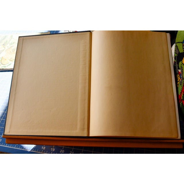Paper "The Ruffed Grouse" — Henry Marion Hall — First Edition 1946 — Oxford University Press — Illustrated by Ralph Ray For Sale - Image 7 of 14