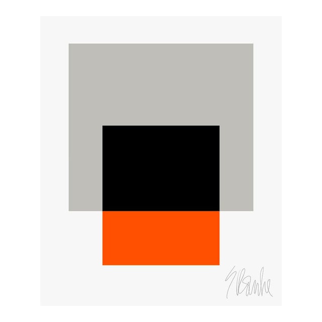 The Interaction of Gray, Black and Orange Fine Art Print 16" X 20" by Liz Roache For Sale
