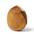 David Ellsworth Mid Century Hollow Form Vessel Pine Pot For Sale In Chicago - Image 6 of 7