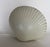 Beige Resin Shell Lamp by Michèle Mahé, 1970s For Sale - Image 8 of 9