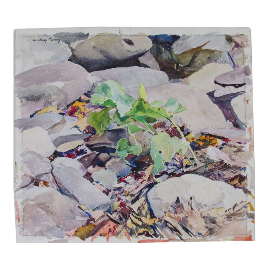 1930s Vintage Winthrop Turney Plant & Rocks Original Signed Watercolor  Painting | Chairish