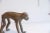 Metal Vintage African Monkey Figurine For Sale - Image 7 of 8