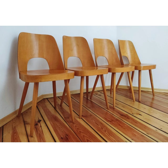 Czechoslovakian Chairs by O. Haerdtl for Ton, 1960s, Set of 4 For Sale - Image 3 of 13