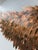 Alissa Madden Design Outstretched Wings on Canvas, Signed For Sale In San Francisco - Image 6 of 16