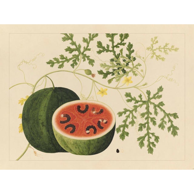 Golden Tropic Botanicals, Giclée Print #15 Reproduction For Sale