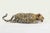 Paola Epifani, Soprav-vivere Sculpture Signed 2/8, 2006, Bronze For Sale - Image 4 of 12