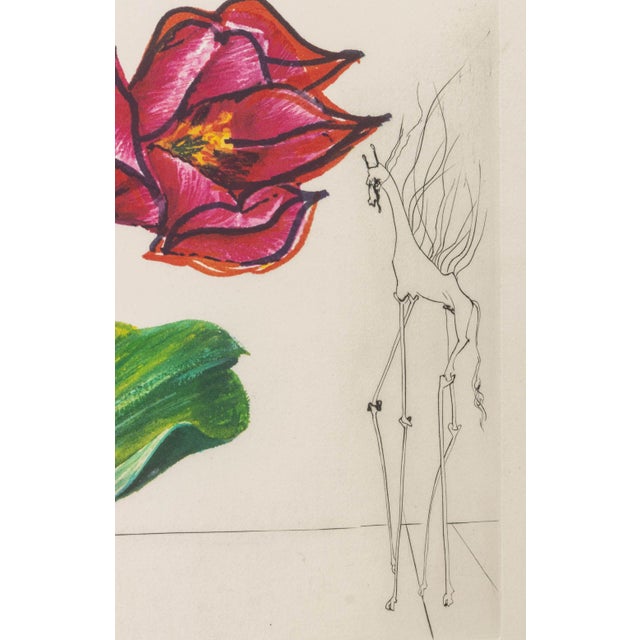Paper Salvador Dali "Tulip (Lips)" Etching, 1972 For Sale - Image 7 of 12