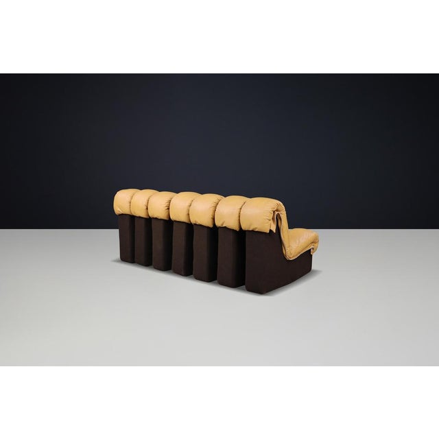 DS-600 Snake Sectional Sofa in Tan Leather attributed to Ueli Berger for de Sede, 1972, Set of 7 For Sale - Image 10 of 14