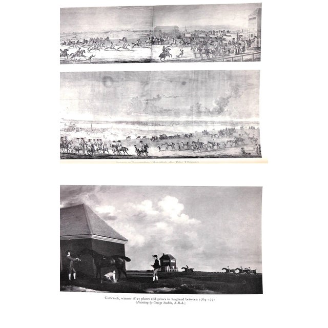 "The Jockey Club" Book 1958 Mortimer, Roger For Sale - Image 10 of 12