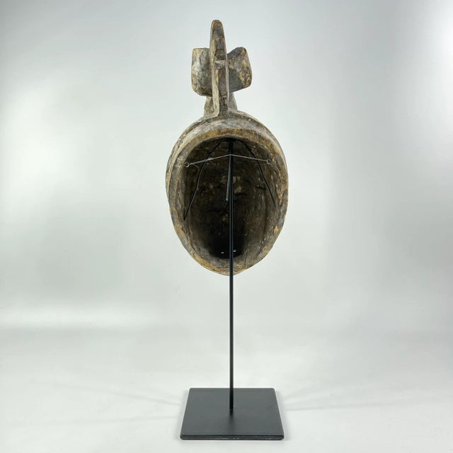 Early 20th Century Early 20th Century Yoruba Gelede Crocodile Mask on Custom Stand Nigeria MATTER COLLECTION For Sale - Image 5 of 6