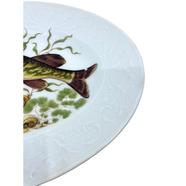Antique Pike Fish Limoges Made in France Platter For Sale In New York - Image 6 of 12