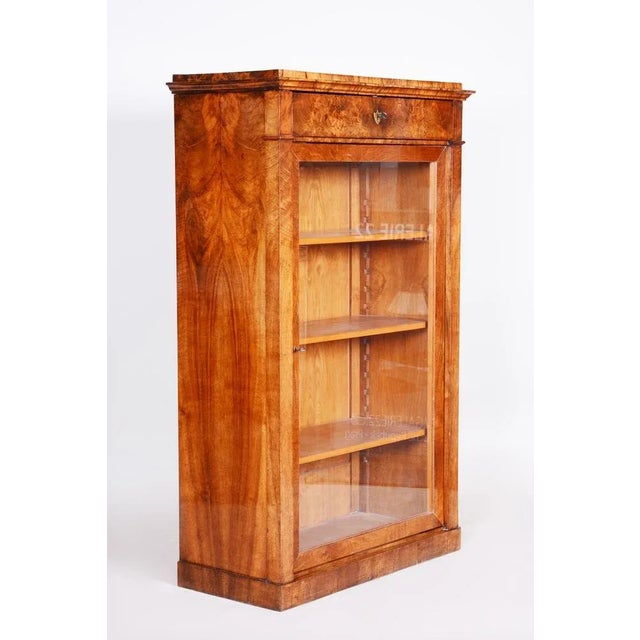 Glass Biedermeier Display Bookcase, Walnut, Czech, 1830s For Sale - Image 7 of 7