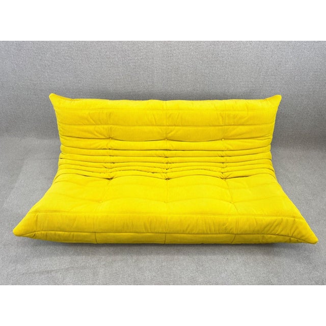 Mid-Century Modern Togo Three-Seater Sofa in Yellow from Ligne Roset, 2012 For Sale - Image 3 of 15
