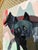 “Wolf Encounters” Art by LWren Walraven For Sale In Santa Fe - Image 6 of 10
