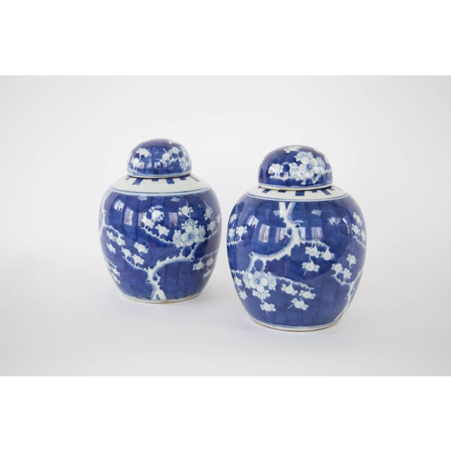 Cherry Blossom Ginger Jars a Pair Chairish