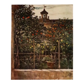 1905 Italian Original Print - Study of Orange and Lemon Trees - From Book Florence & Some Tuscan Cities (1905) For Sale