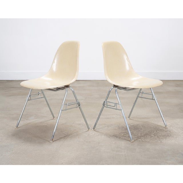 Beige Set of Four Herman Miller DSS Mid-Century Fiberglass Side Chairs For Sale - Image 8 of 18