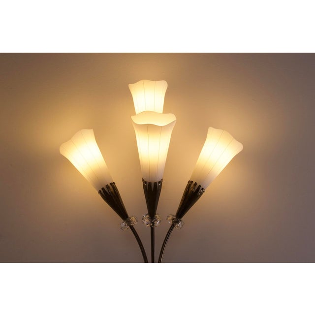 Arum Wall Lights from Maison Lunel, 1950s, Set of 2 For Sale - Image 6 of 12