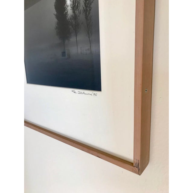 Vintage Richard D’Amore Black and White Landscape Signed Photograph For Sale - Image 10 of 13