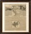 An original antique map titled "Carte Particulière du Pérou, Plan de la Ville de Lima, de Quelques Plantes, Animaux, &...