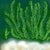 Rosemary Garden is my contemporary take on one of the most recognizable plants in the garden. Rosemary is one of those...
