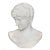 FILLI PUGI Italian, fl. 19th century Bust of the Capitoline Antinous after Antiquity Carved Carrara Marble | signed verso...