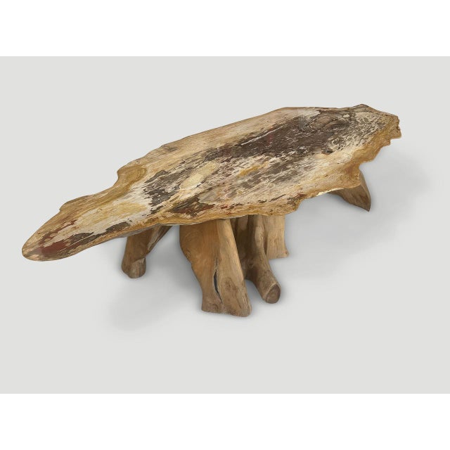 Wood Andrianna Shamaris Live Edge Petrified Wood Coffee Table with Organic Teak Base For Sale - Image 7 of 18
