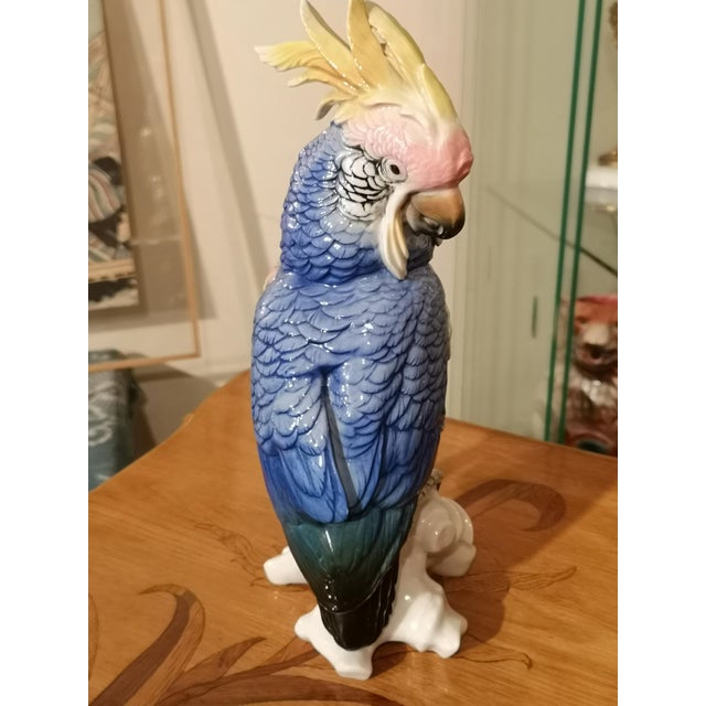 Blue Porcelain Parrot Figurine by Karl Ens, Saxe, 19th Century For Sale - Image 3 of 12