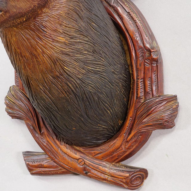 Brown Large Naturalistic Black Forest Carved Chamois Head, Ca. 1920s For Sale - Image 8 of 8