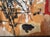 Assemblage on Layered Plywood, Mixed Media Painting by J. Rogers 2010 For Sale - Image 9 of 13