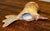 1970s 1970s Mid‑Century Willi Eggerman Studio Pottery Bird Sculpture For Sale - Image 5 of 5