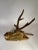 Mid 20th Century Gilt Metal Moroccan Deer Statue For Sale - Image 4 of 6