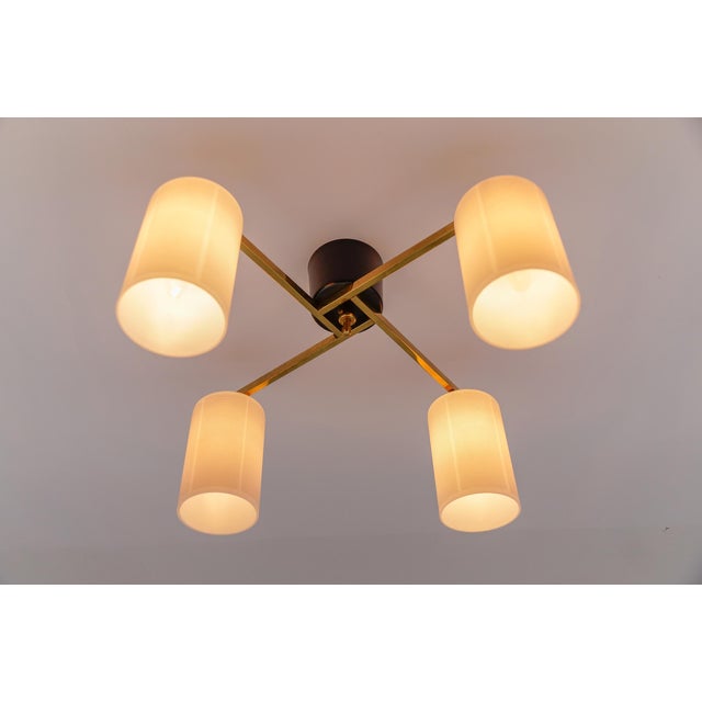 Metal Mid-Century Modern Four-Armed Brass and Glass Lamp, 1950s For Sale - Image 7 of 13