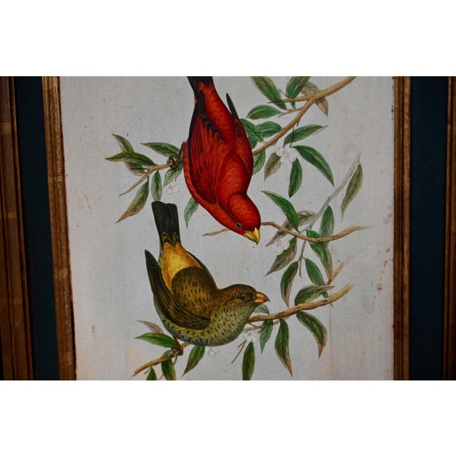 Victorian Screen with Birds and Roses, 1940s For Sale - Image 9 of 18
