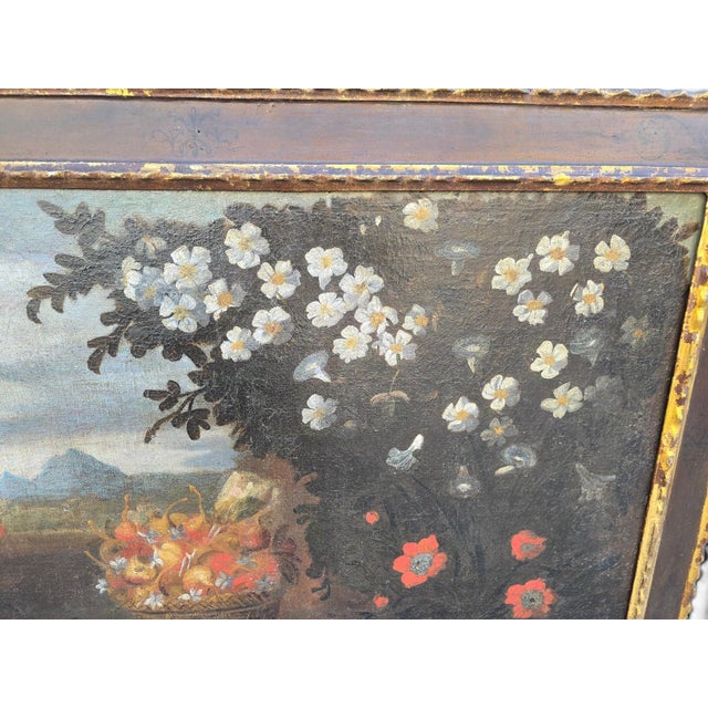 Mallorcan School Artist, Animal Composition, 18th Century, Oil Painting, Framed For Sale - Image 9 of 14