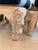 Art Nouveau Wood Carved Elephant Ottomans For Sale - Image 3 of 3