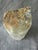 White Natural White Selenite Crystal For Sale - Image 8 of 12