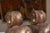Pair Carved Wood Seated Rams Gold / Burgundy Wash For Sale - Image 4 of 14
