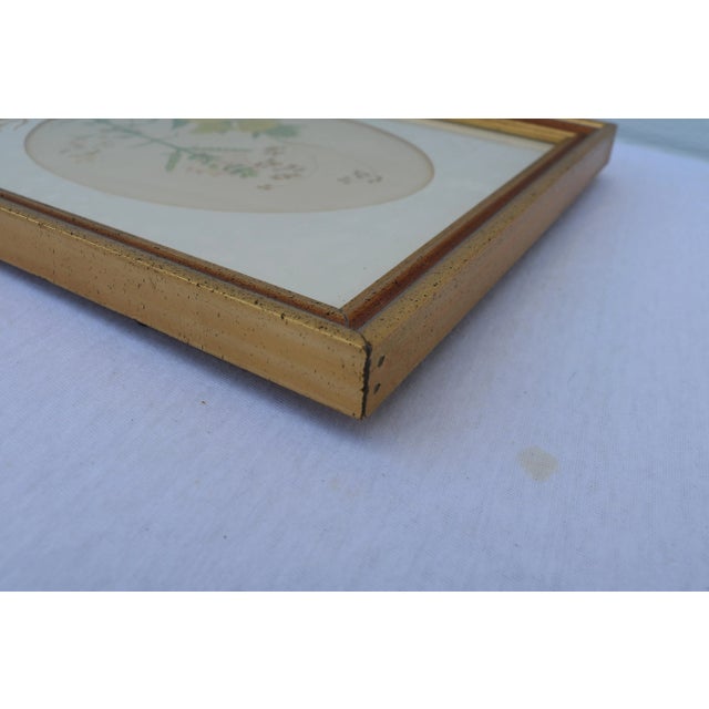 Vintage Botanical Watercolor Painting Signed For Sale In Cincinnati - Image 6 of 6