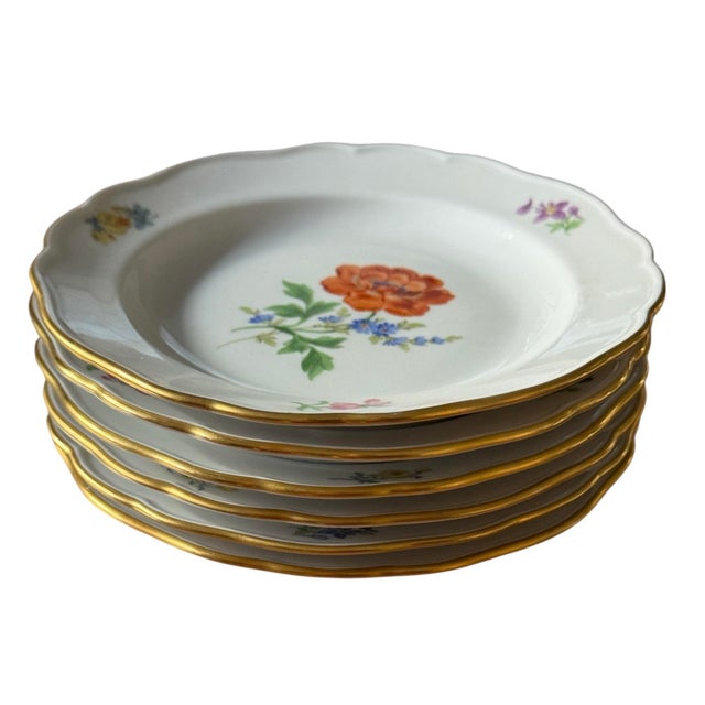 Early 20th Century Meissen Floral Plates 1920's- Set of 6 For Sale - Image 9 of 12